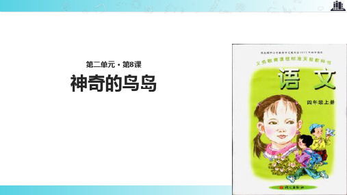 2021语文A版小学语文四年级上册《神奇的鸟岛》教学课件