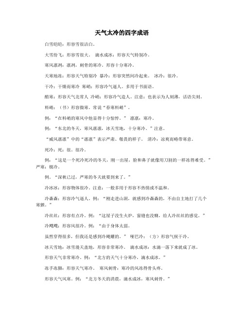 天气太冷的四字成语