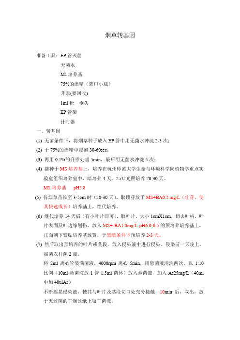 烟草培养方法以及转基因方法