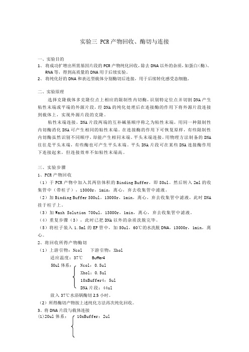 实验三 PCR产物回收、酶切与连接
