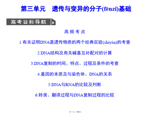 高考生物一轮复习 311 遗传物质的发现课件 中图版必修2