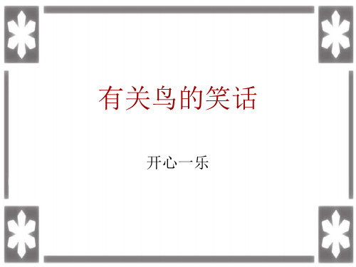 有关鸟的笑话