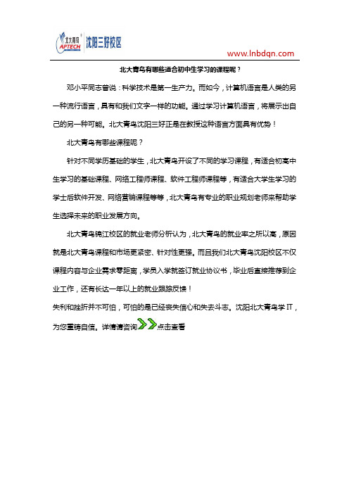 北大青鸟有哪些适合初中生学习的课程呢？