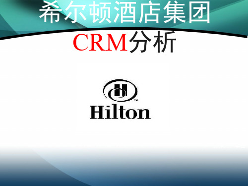 希尔顿酒店集团CRM分析