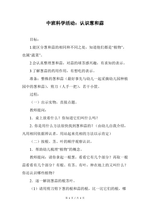 中班科学活动：认识葱和蒜