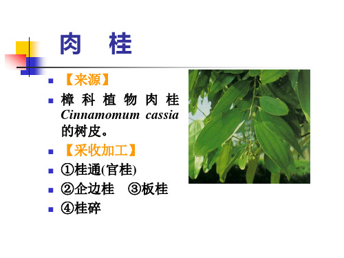 肉桂