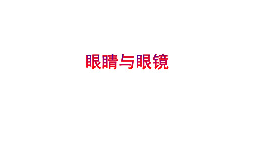 6.4眼睛和眼镜 课件