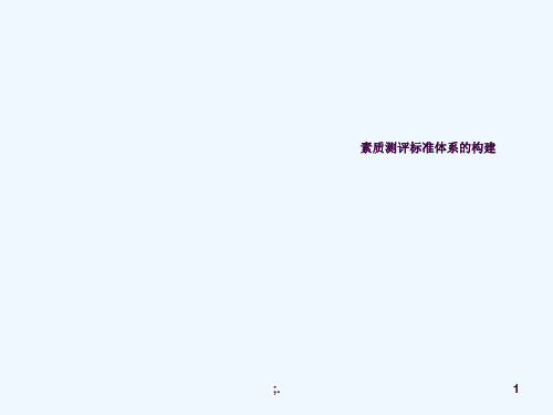 素质测评标准体系的构建-人力资源管理ppt课件