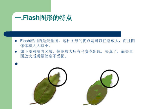 第一课Flash入门