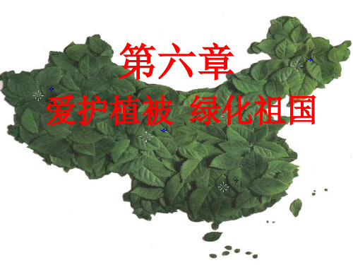 七年级生物上册第三单元第六章《爱护植被绿化祖国》课件(新版)新人教版