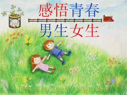 《男生 女生》课件