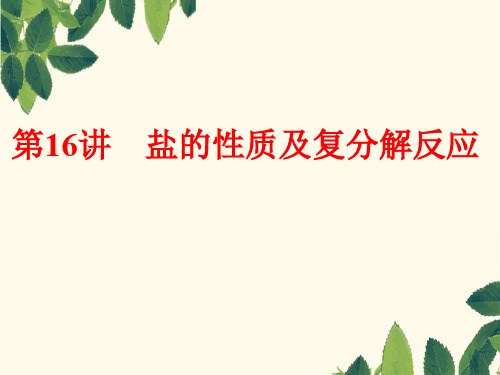 中考化学一轮复习 教材梳理阶段练习 第16讲 盐的性质及复分解反应课件 鲁教版