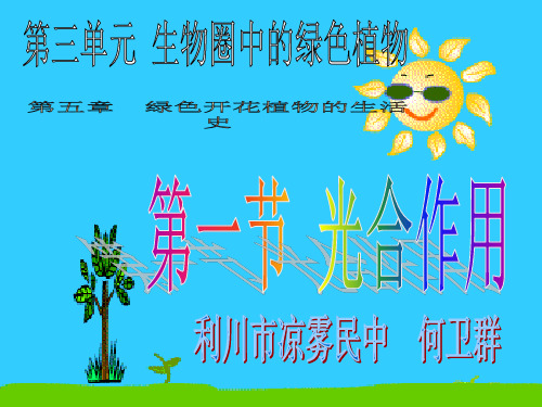 中考专题绿色开花植物的生活方式
