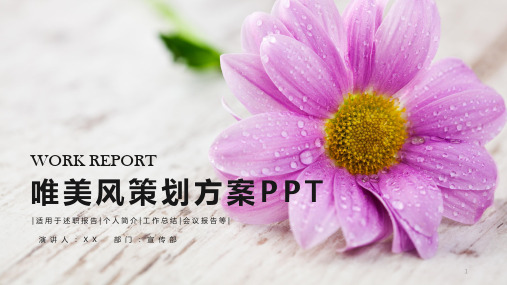 唯美清新 模板PPT(107)