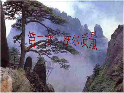 高一化学上学期摩尔质量--江苏教育版(201909)