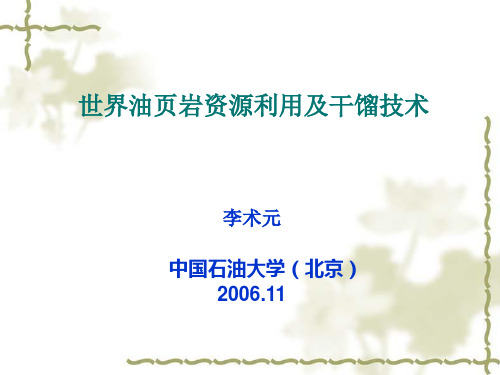 世界油页岩干馏技术