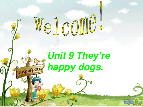新概念starterB unit9完整课件