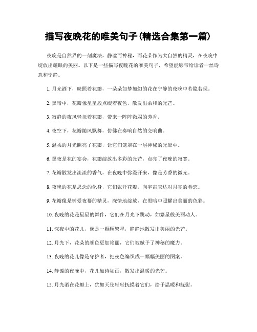 描写夜晚花的唯美句子(精选合集两篇)