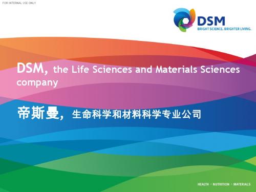 20130624 DSM Introduction