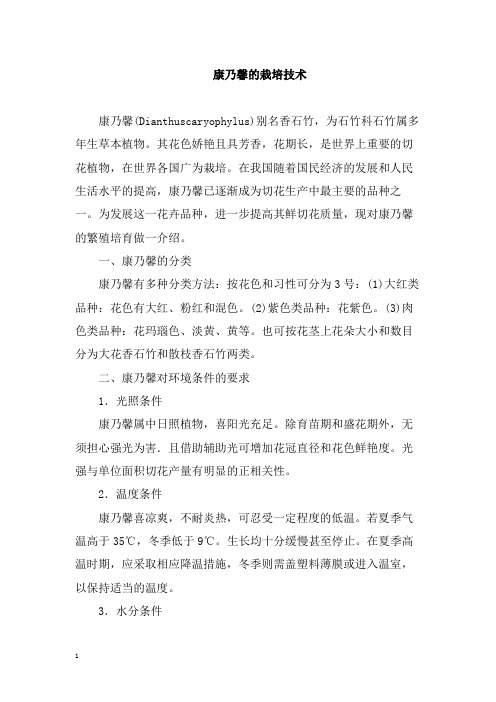 康乃馨的栽培技术