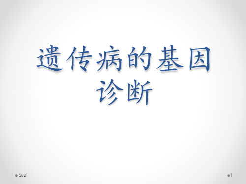 分子生物学讨论课-遗传病基因诊断PPT课件