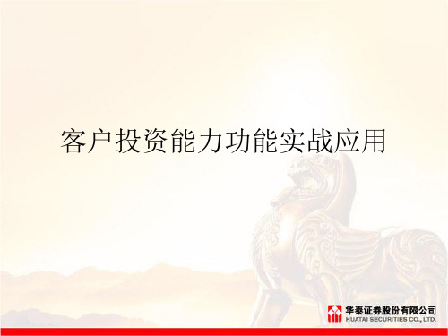 投资能力分析ppt