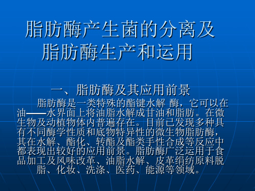 脂肪酶的产生菌的分离生产及其运用