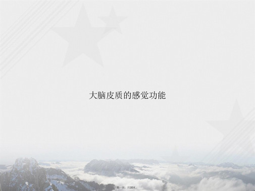 大脑皮质的感觉功能讲课文档