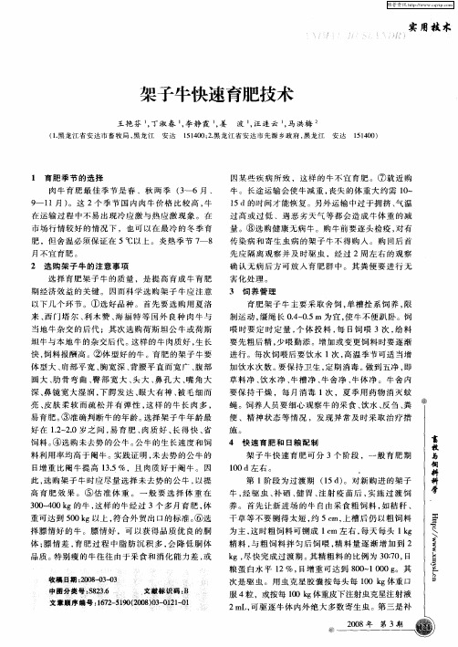 架子牛快速育肥技术