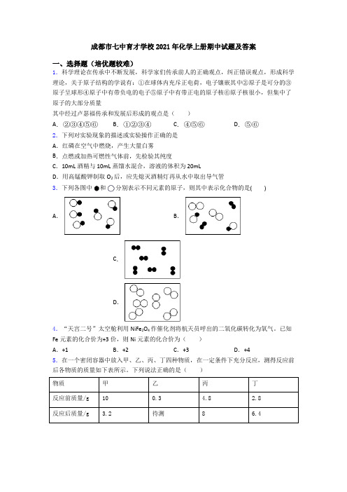 成都市七中育才学校2021年初三化学上册期中试题及答案