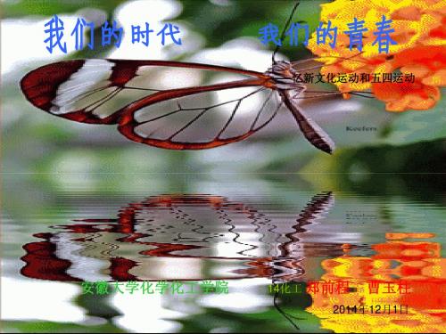 我们的青春 -新文化运动和五四运动