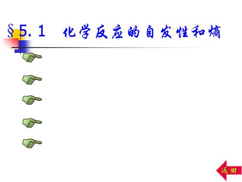 吉布斯自由能与化学平衡73页PPT