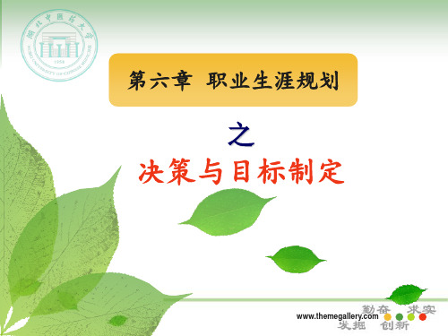 第六章 职业生涯规划决策与目标制定