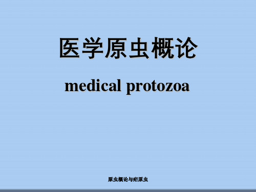 原虫概论与疟原虫