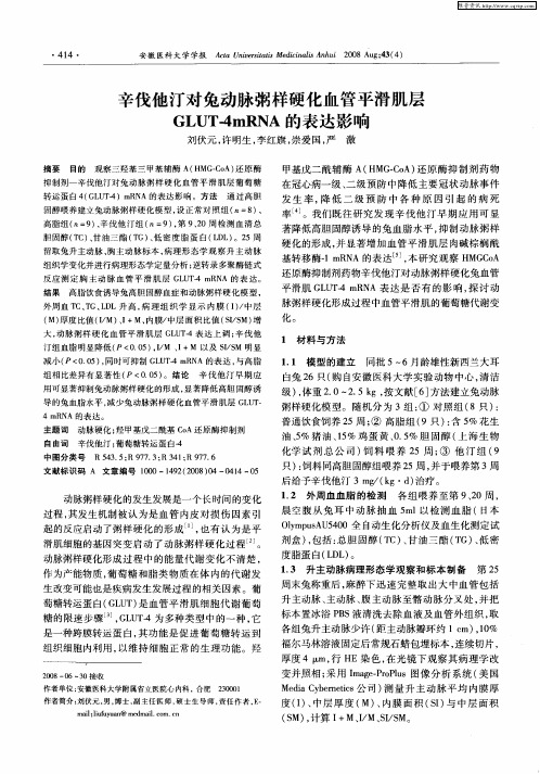 辛伐他汀对兔动脉粥样硬化血管平滑肌层GLUT-4mRNA的表达影响