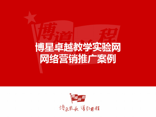 网络营销项目推广案例