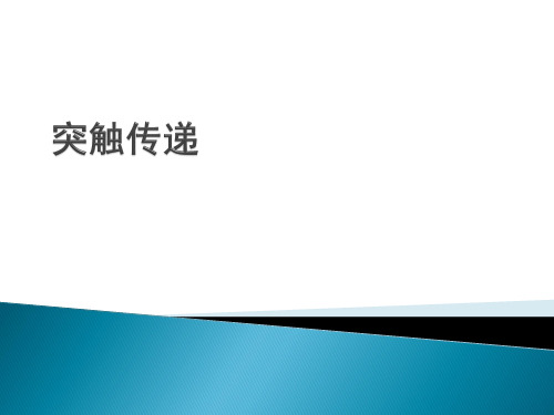 突触传递