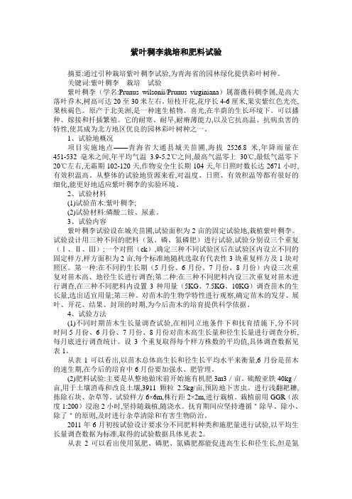 紫叶稠李栽培和肥料试验