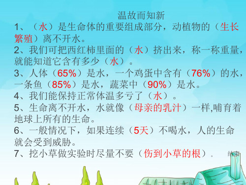 三年级上册科学-2《观察水》苏教版-PPT课堂课件