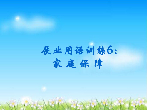 人寿保险对家庭保障的重要意义(ppt 28页)