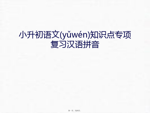 最新小升初语文知识点专项复习汉语拼音幻灯片课件精品课件