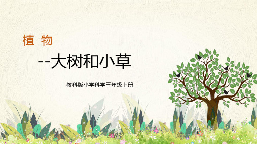 简约卡通风教科版小学科学三年级上册《大树和小草》PPT课件