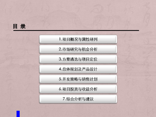 江苏常州西太湖某房地产项目可研定位报告-187页