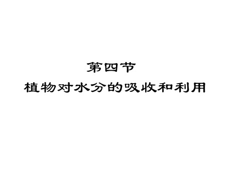 第四节植物对水分的吸收和利用