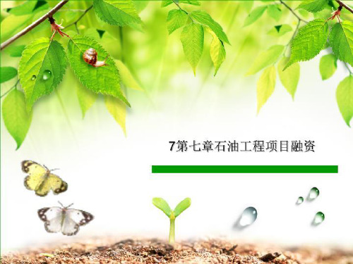 7第七章石油工程项目融资