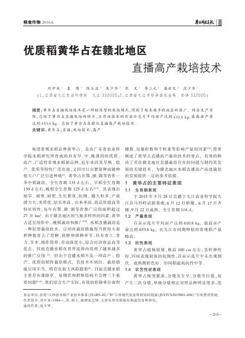 优质稻黄华占在赣北地区直播高产栽培技术