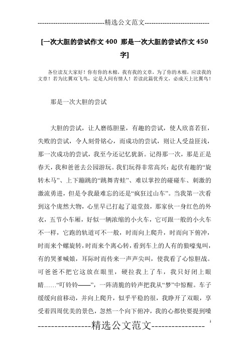 [一次大胆的尝试作文400 那是一次大胆的尝试作文450字]