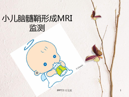 小儿脑髓鞘形成MRI课件