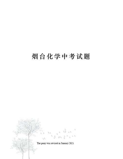 烟台化学中考试题