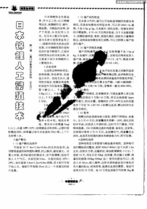 日本锦鲤人工繁殖技术